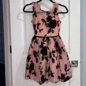 Zunie Pink Mesh Dress with Velvet Floral